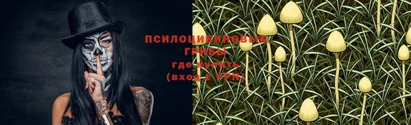 a pvp Майский