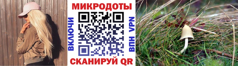 наркота  Озёрск  Галлюциногенные грибы ЛСД 
